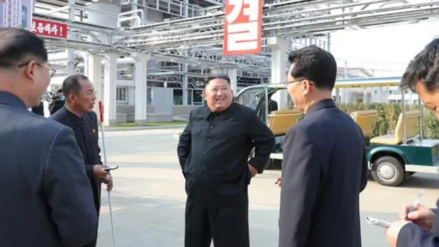 کے سی این اے