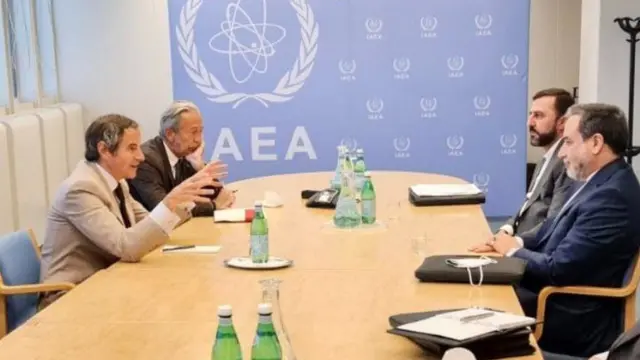 دیدار مذاکره کننده ارشد اتمی ایران (راست) و مدیرکل آژانس در وین (چپ).