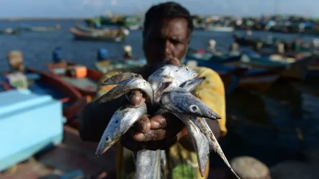 மீன்வள மசோதா