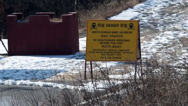 DMZ 일대에 남북 합쳐 200만 개 이상의 지뢰가 매설된 것으로 알려진다