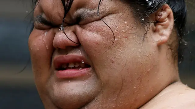 جاپان، سومو پہلوان