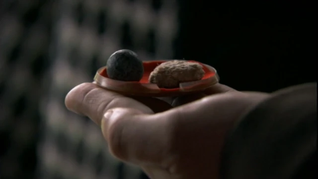 Мушкетная пуля и окаменевшая овсяная лепешка из коллекции Вальтера Скотта в Эбботсфорде