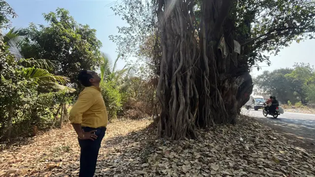 नगर नाका ते दौलताबाद रस्त्यावरील वडाचं झाड बघताना पर्यावरणप्रेमी रुपेश कलंत्री