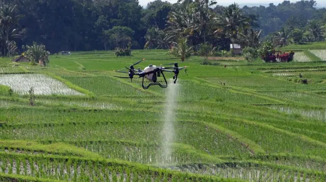 Drone menyemprotkan cairan pupuk ke sawah di Desa Jatiluwih, Kabupaten Tabanan, Bali.