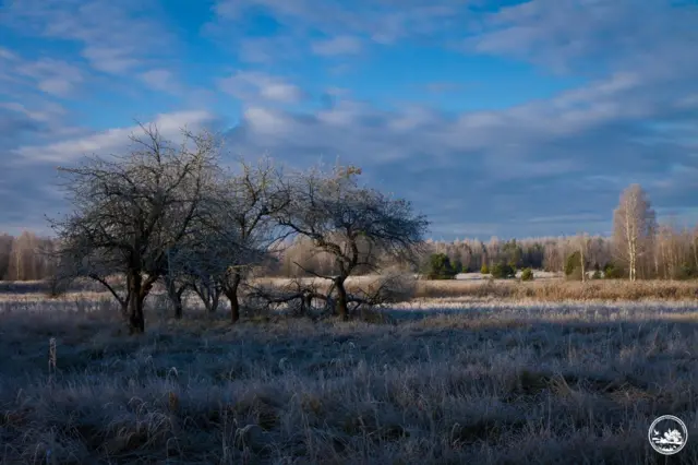 Чорнобильський заповідник 