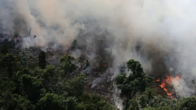 Incendios en el Amazonas: las imágenes de los graves incendios que arrasan  Brasil y otros países de América del Sur - BBC News Mundo