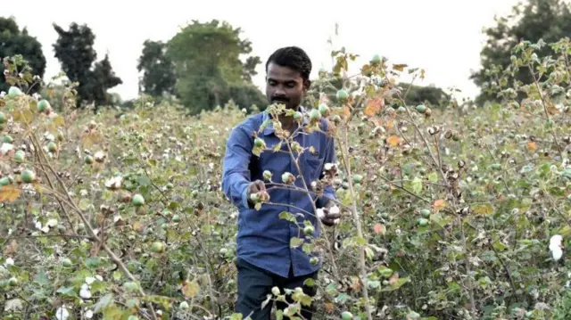 પાકનું યોગ્ય આયોજન 