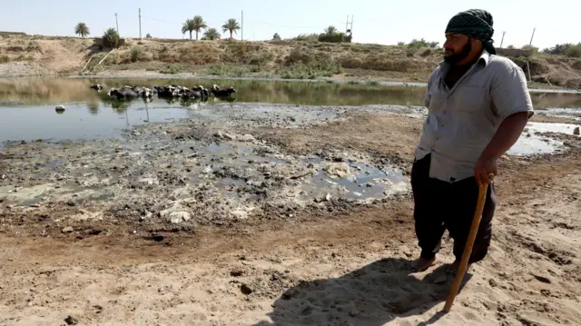 Pastir posmatra kako se njegovo krdo bizona hladi u reci dijalai koja je skoro presušila