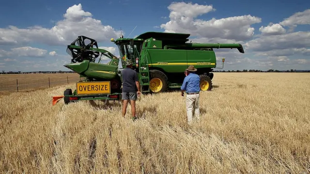অস্ট্রেলিয়া থেকে বার্লি আমদানির ওপর চীন শুল্ক আরোপ করেছে।