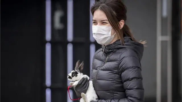 Девушка с кроликом