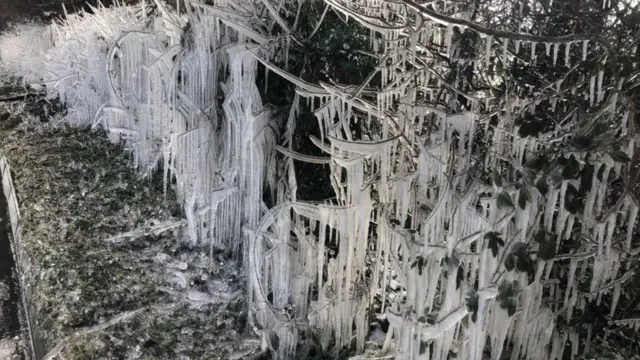 رقاقات الثلج