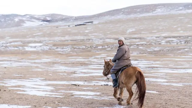 (Credit: Yulia Denisyuk)