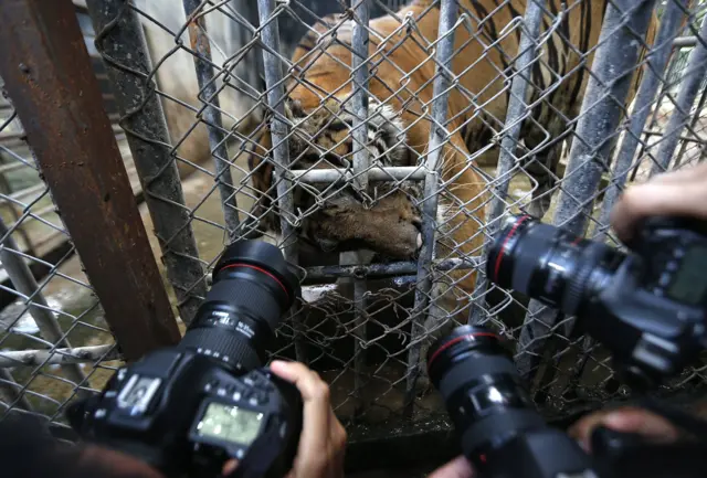 ภาพ ข่าว ยอดเยี่ยม เด่น 2562