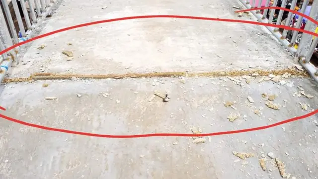 Akwaụkwụ ndị n'Enugwu