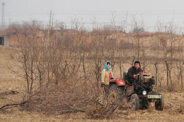 Perempuan, china, pengantin pesanan, kalimantan