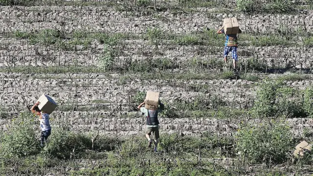 Traficantes de marihuana en la frontera entre México y Estados Unidos.