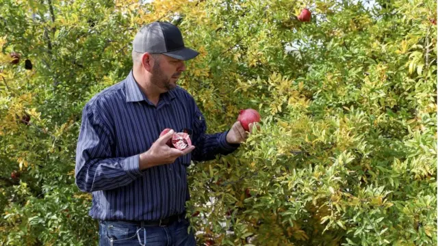 Un miembro de la familia LeBarón recolecta fruta