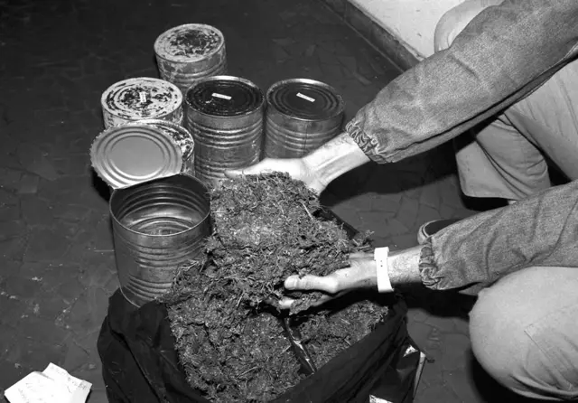 Unas pocas de las 15.000 latas.