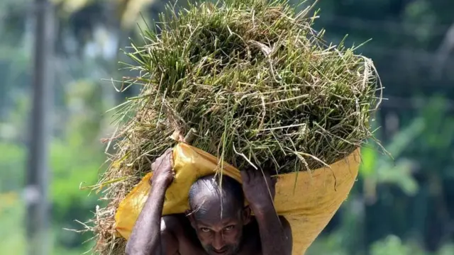 श्रीलंका का किसान