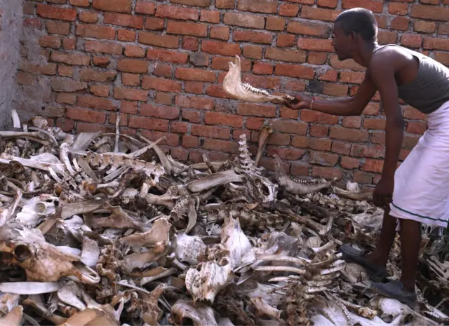 కొన్ని ఫ్యాక్టరీలు ఈ ఎముకల్ని కొంటాయి