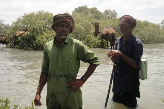 ખારાઈ ઊંટ