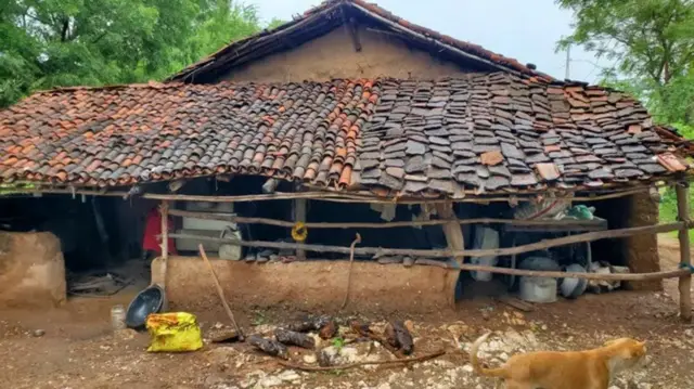 ચાંદીપુરા વાઇરસમાં મૃત્યુ પામનાર કિંજલ નિનામાનું ઘર