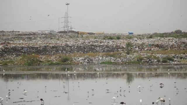 பெருங்குடி குப்பைக் கிடங்கு: பசுமைப் பூங்கா அமைப்பதால் பள்ளிக்கரணைக்கு பேரழிவா? மக்கள் எதிர்ப்பது ஏன்?