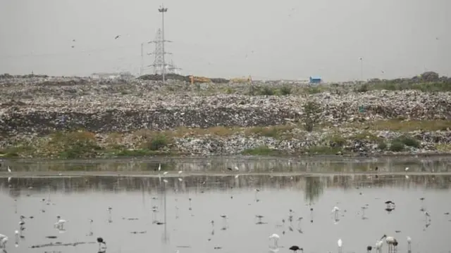பெருங்குடி குப்பைக் கிடங்கு: பசுமைப் பூங்கா அமைப்பதால் பள்ளிக்கரணைக்கு பேரழிவா? மக்கள் எதிர்ப்பது ஏன்?