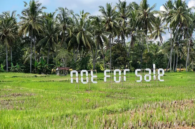 Aktivis Pande Putu memasang pesan "Tidak Untuk Dijual" di sawah di Ubud, Bali, untuk memprotes pembangunan berlebihan di pulau itu oleh industri pariwisata.