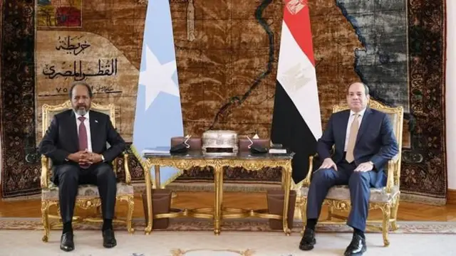 Duree Somaaliyaa fi Masrii