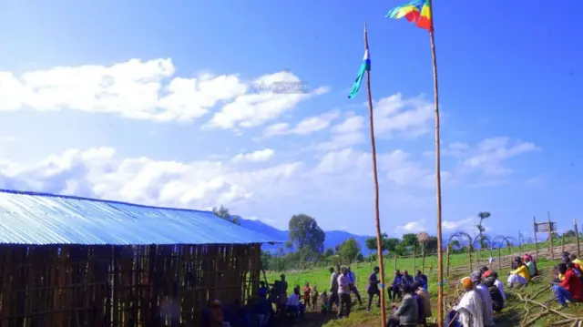 Mana barumsaa Daawurootti