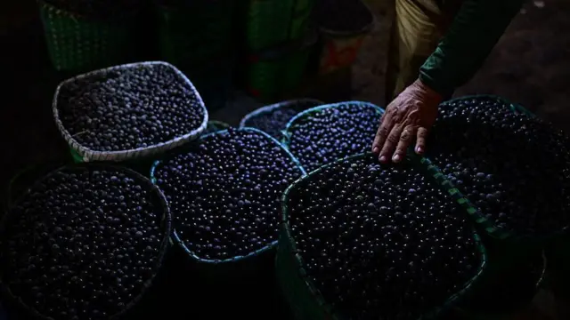 Sacas de açaí. 