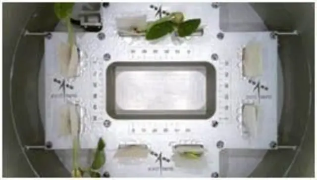 સુનીતા વિલિયમ્સ, અવકાશયાન, જમીન, બીબીસી ગુજરાતી, અવકાશમથક, નાસા, અમેરિકા