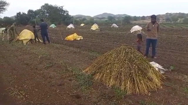 કમોસમી વરસાદ