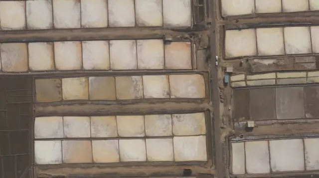 नमक के खेत