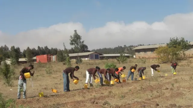 Des élèves arrosant des plantes