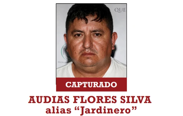 Ficha de Audias Flores Silva
