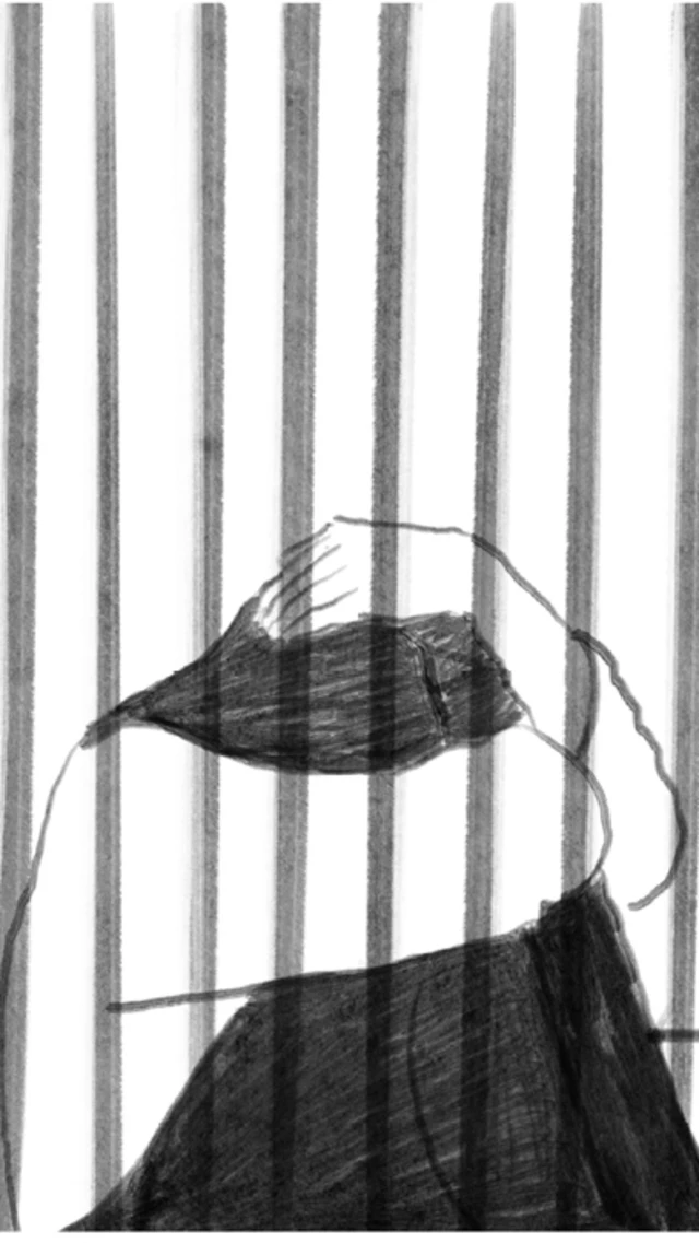 یکی از تصاویر کتاب احضار دوال‌پای رسوایی با بوی پای‌سیب، نوشته سپیده قلیان