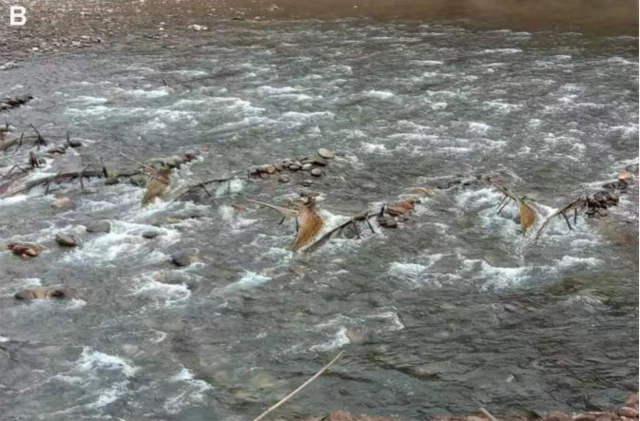 लोहन्द्रा खोलामा माछालाई जालमा पार्न बनाइएको संरचना