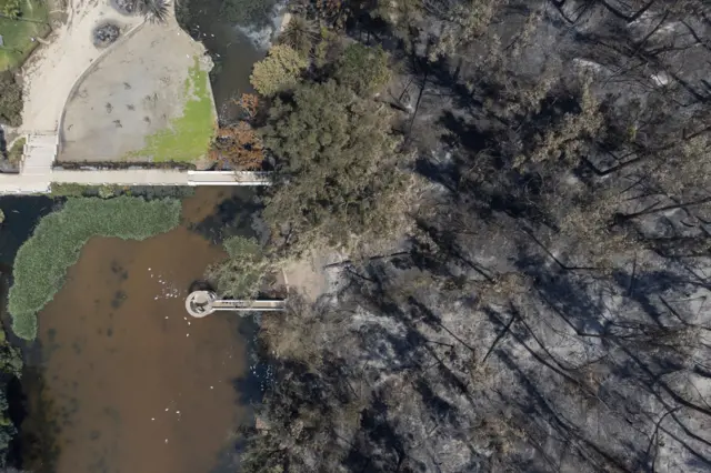 Una fotografía aérea muestra un área quemada del Jardín Botánico de Viña del Mar después del incendio.