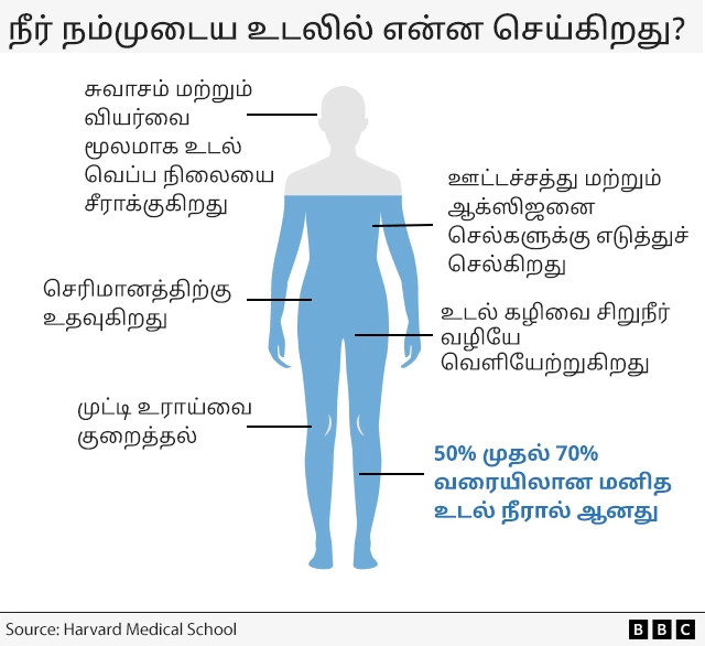 நீர் பருகுதல், நீர், தண்ணீர், எவ்வளவு நீர் குடிக்க வேண்டும்? 