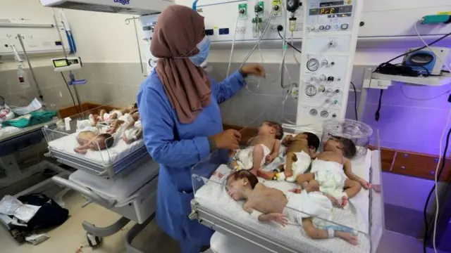 bayi prematur palestina