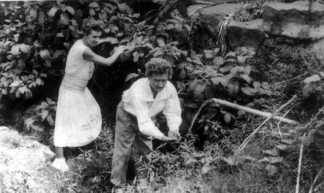 Фрідріх та Доре на острові