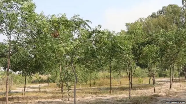 ਫਰੀਦਕੋਟ
