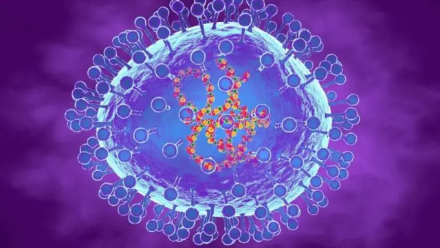 एचएमपीव्ही विषाणू