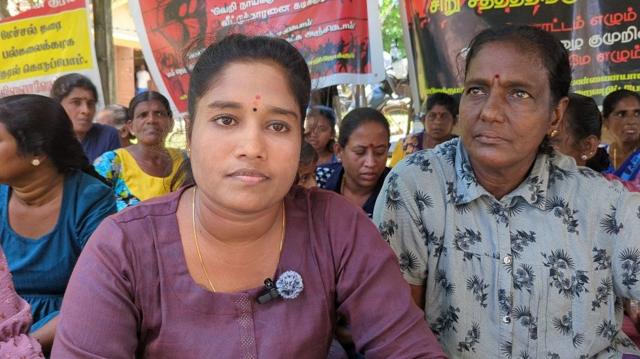 இலங்கை, மட்டக்களப்பு, தமிழர்கள், சிங்களர்கள், விவசாயம், கால்நடை, மாடுகள்