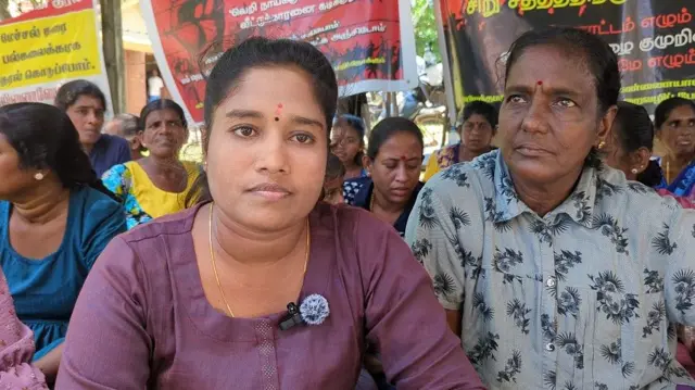 இலங்கை, மட்டக்களப்பு, தமிழர்கள், சிங்களர்கள், விவசாயம், கால்நடை, மாடுகள் 