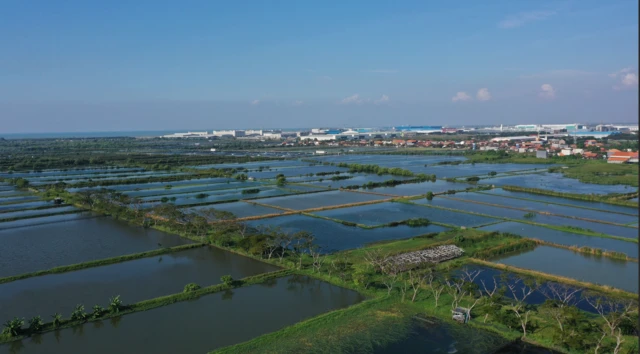 banjir rob, pesisir utara jawa, pantura, kendal