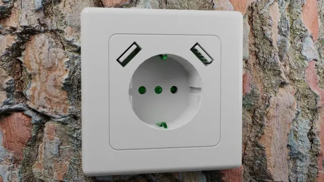 Un árbol con un enchufe.