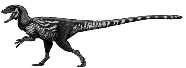 Staurikosaurus pricei